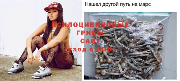 твердый Алзамай