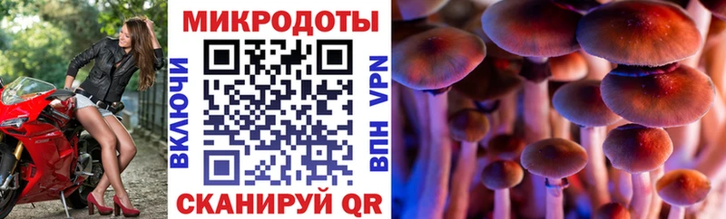 площадка телеграм  Томск  Псилоцибиновые грибы MAGIC MUSHROOMS  где купить наркоту 